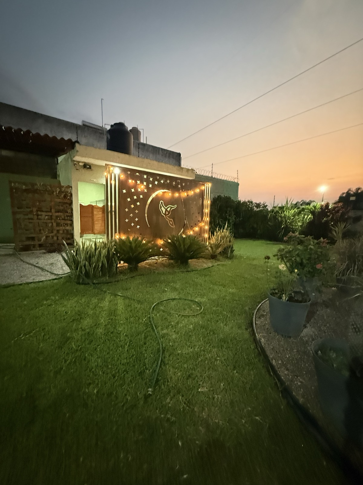 Muro decorativo con colibrí y luces en Jardín Paraíso Colibrí